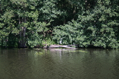 Killikus&reg; Fotographie